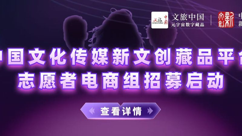 媒介投放策略：精准布局，提升内容传播效能